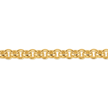 Category Belcher image